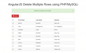 delete multiple rows using angularjs