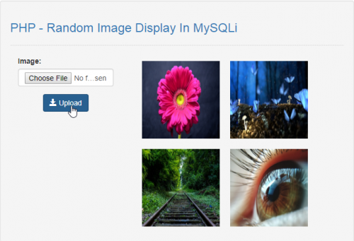 Random Image Display In MySQLi using PHP