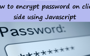 encrypt a password in javascript