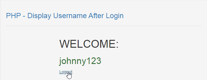 display username after login