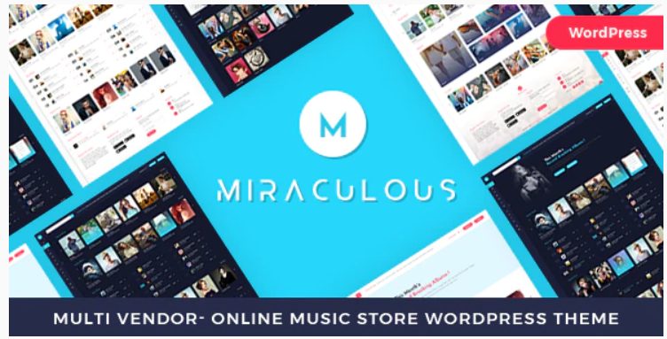 online music store wordpress theme