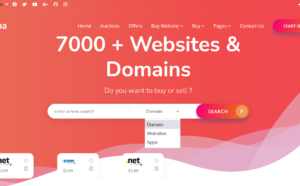 Webiste, domain, and app marketplace